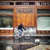 Curso Privado de Fotografía con Smartphone