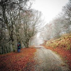 Curso Privado Fotografía con Móvil