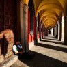 Curso Privado Fotografía con Móvil