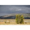 Gallocanta - Intensivo de Fotografía