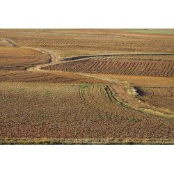 Gallocanta - Intensivo de Fotografía