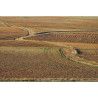 Gallocanta - Intensivo de Fotografía