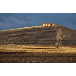 Gallocanta - Intensivo de Fotografía