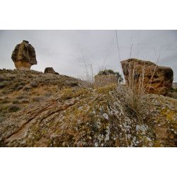 Photo tour Monegros - Fotografía extrema