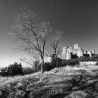 Tour Privado de fotografía Nocturna en Loarre