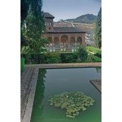 Curso Privado FOTOGRAFÍA en Granada