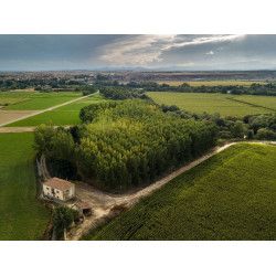 Curso Privado Fotografía aérea