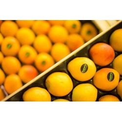 Curso de Fotografia de Gastronomía - Producto. Intensivo de Fotografía