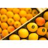 Curso de Fotografia de Gastronomía - Producto. Intensivo de Fotografía