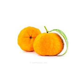 Curso de Fotografia de Gastronomía - Producto. Intensivo de Fotografía