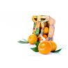 Curso de Fotografia de Gastronomía - Producto. Intensivo de Fotografía