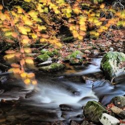 Curso Privado Iniciación Fotografía