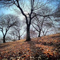 Curso Privado Iniciación Fotografía