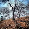 Curso Privado Iniciación Fotografía