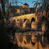 Curso Privado Fotografía con Móvil