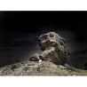 Tour Privado de fotografía Nocturna en Monegros