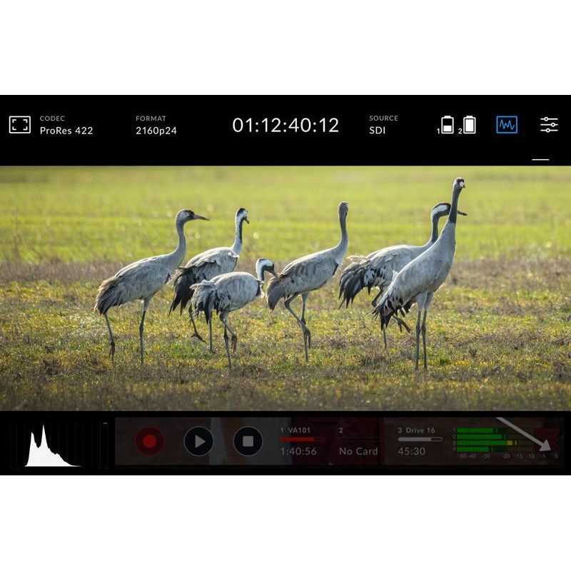 Video con Cámara Reflex